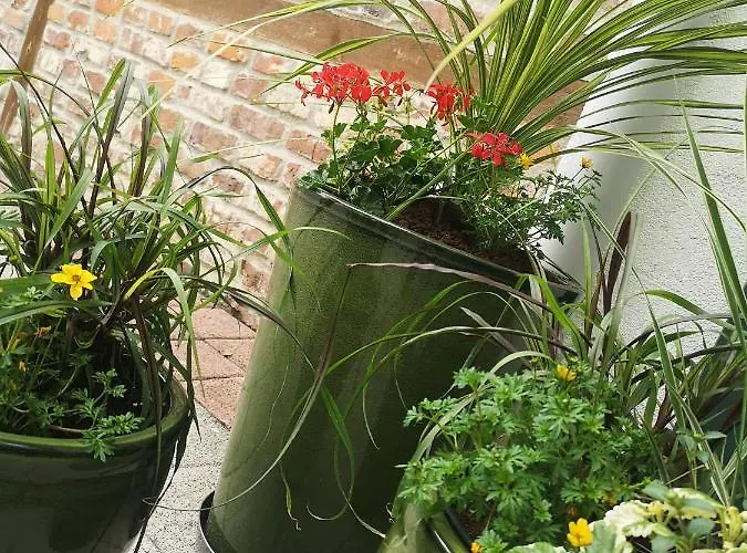 Cyprianowka * Warszowice